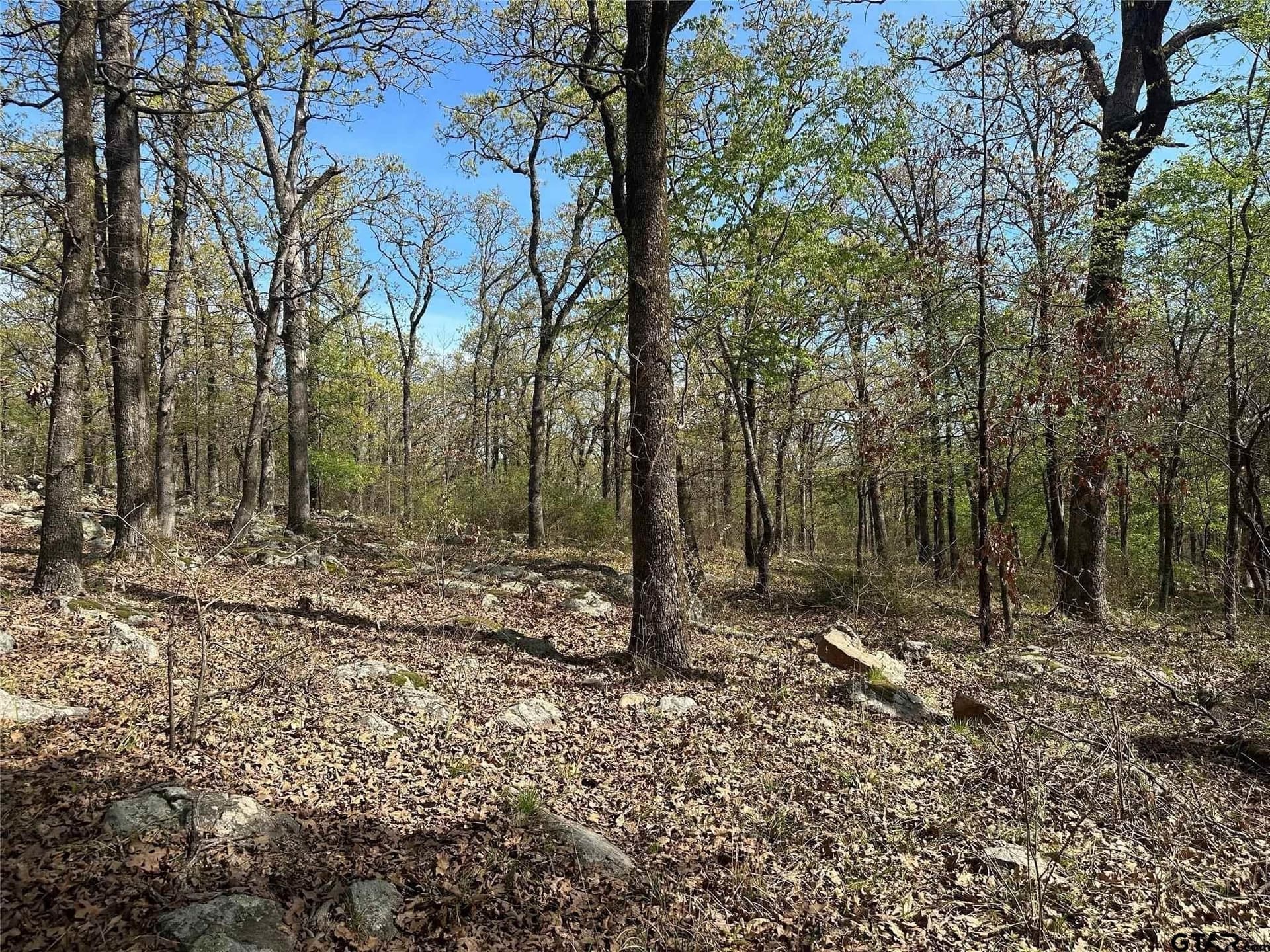 2.44 acres in Hopkins County - photo 12