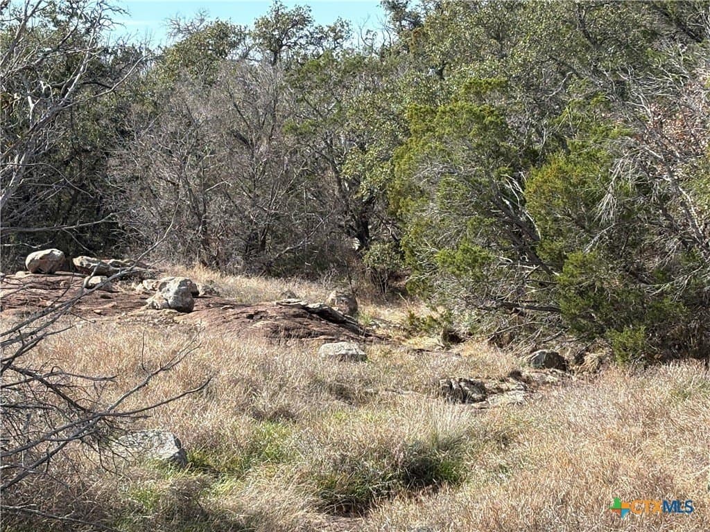 13.91 acres in Burnet County - photo 4