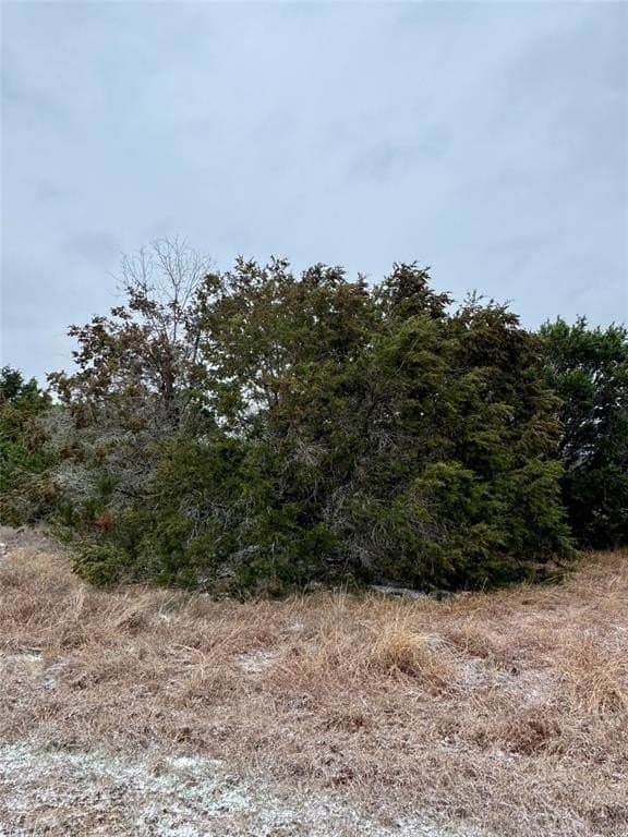 0.11 acres in Hill County - photo 3