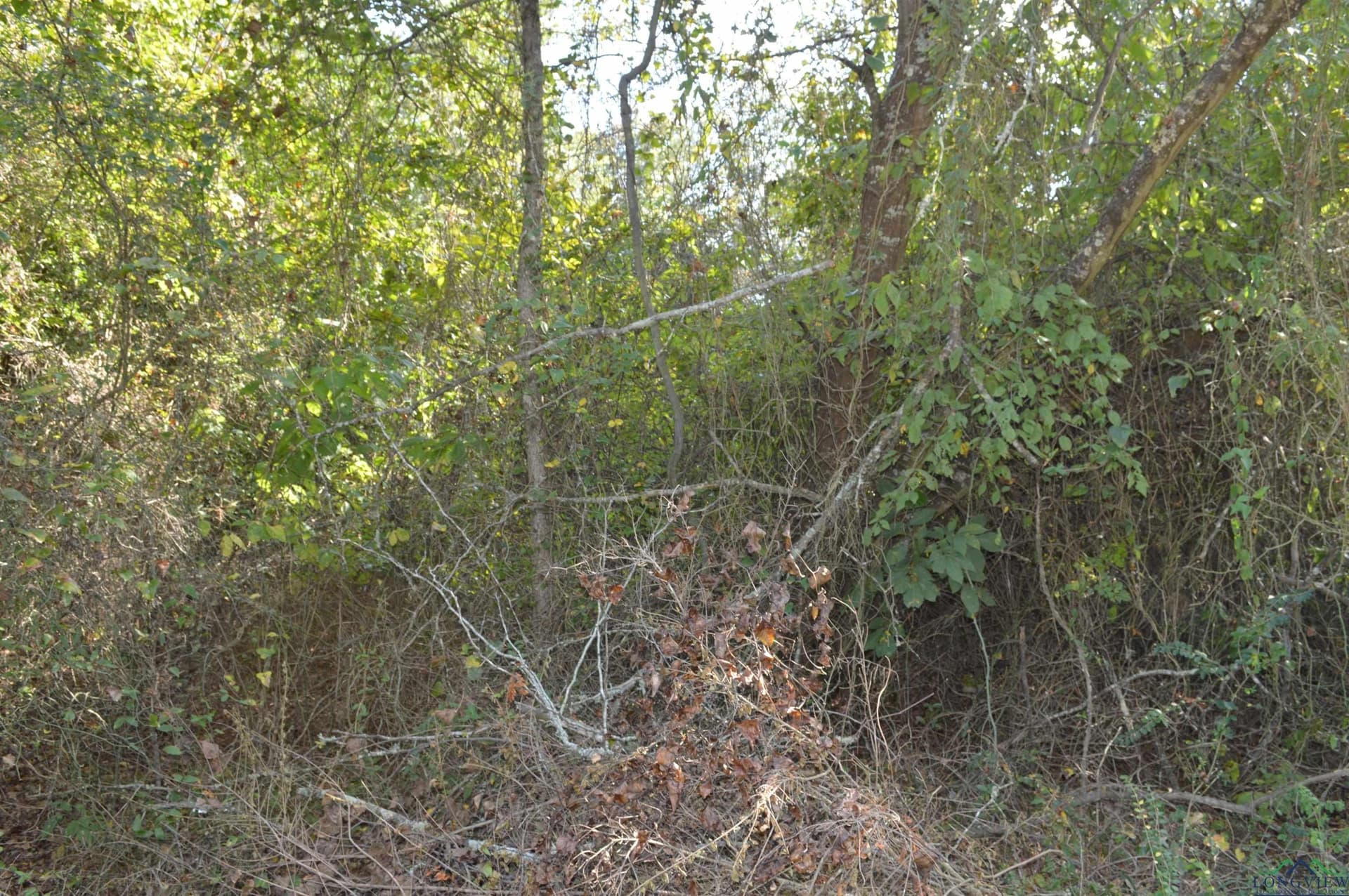 8 acres in Texas County - photo 2