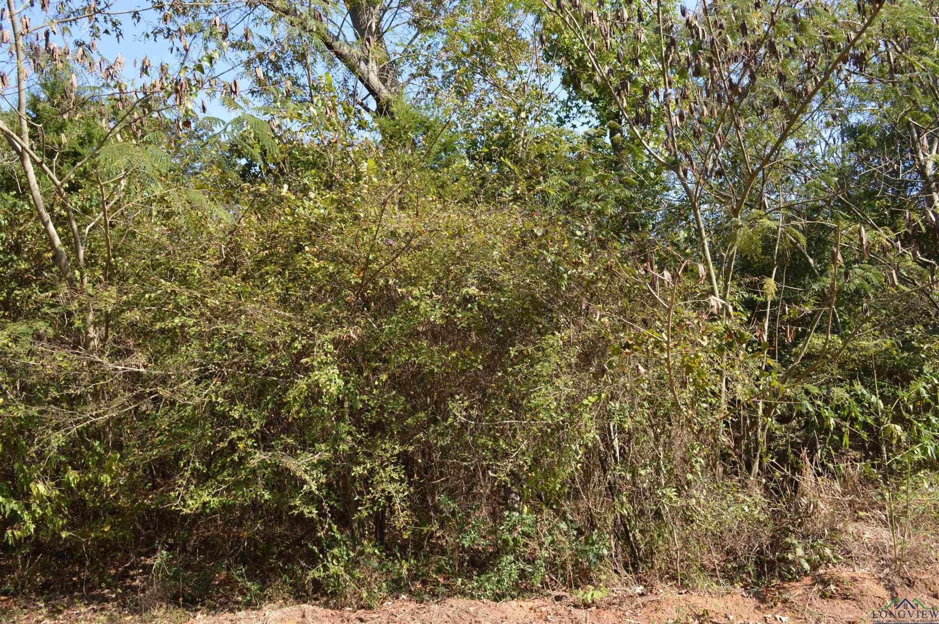 8 acres in Texas County - photo 3