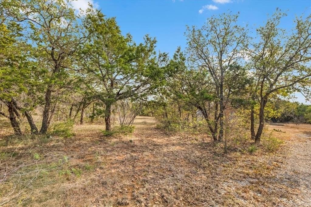 16.42 acres in Palo Pinto County - photo 20