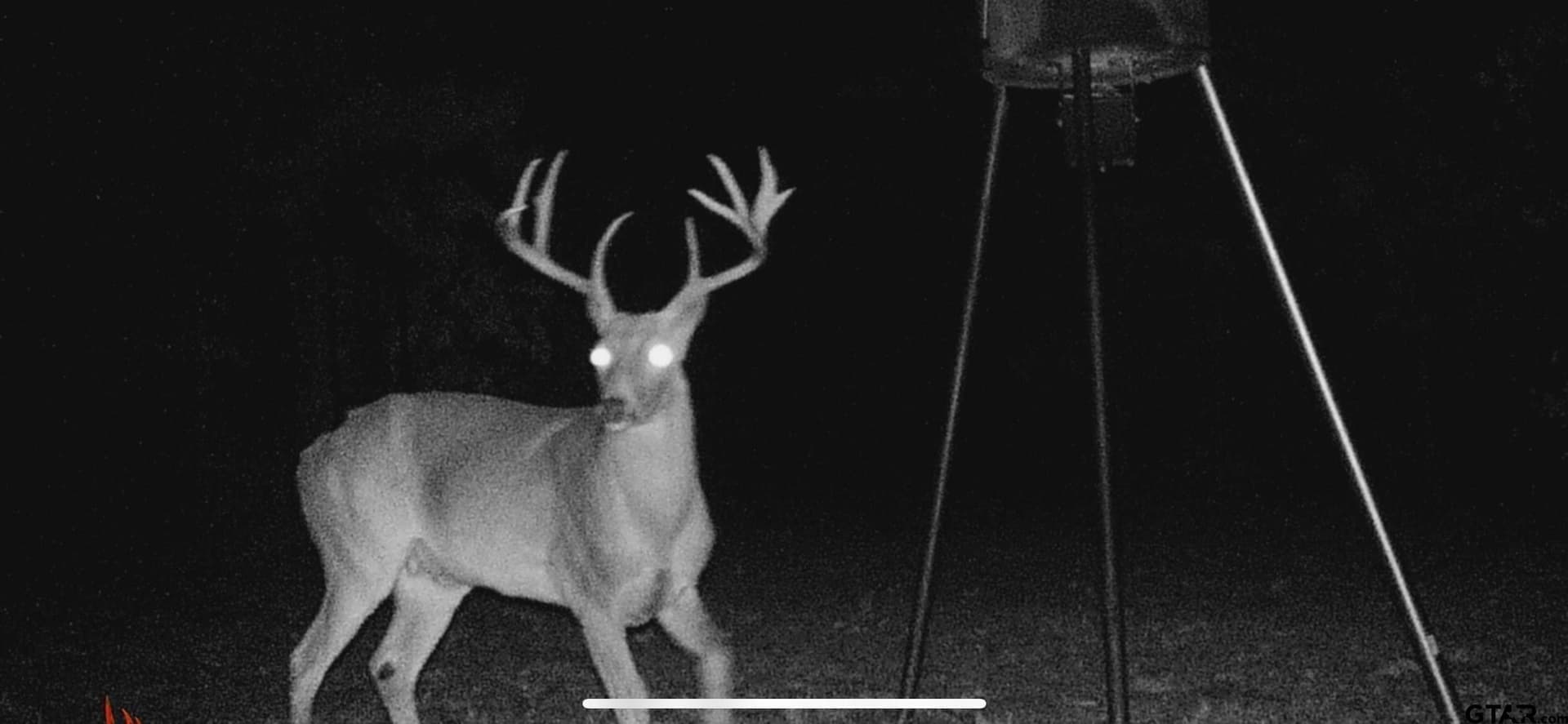 41.24 acres in Cherokee County - photo 31