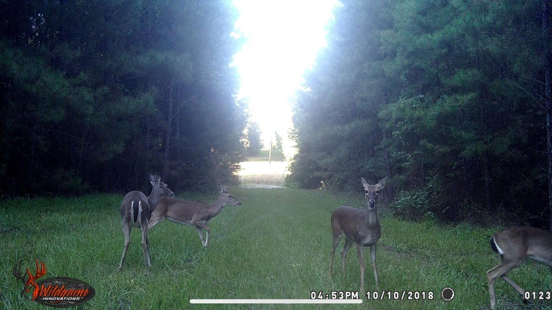 41.24 acres in Cherokee County - photo 33