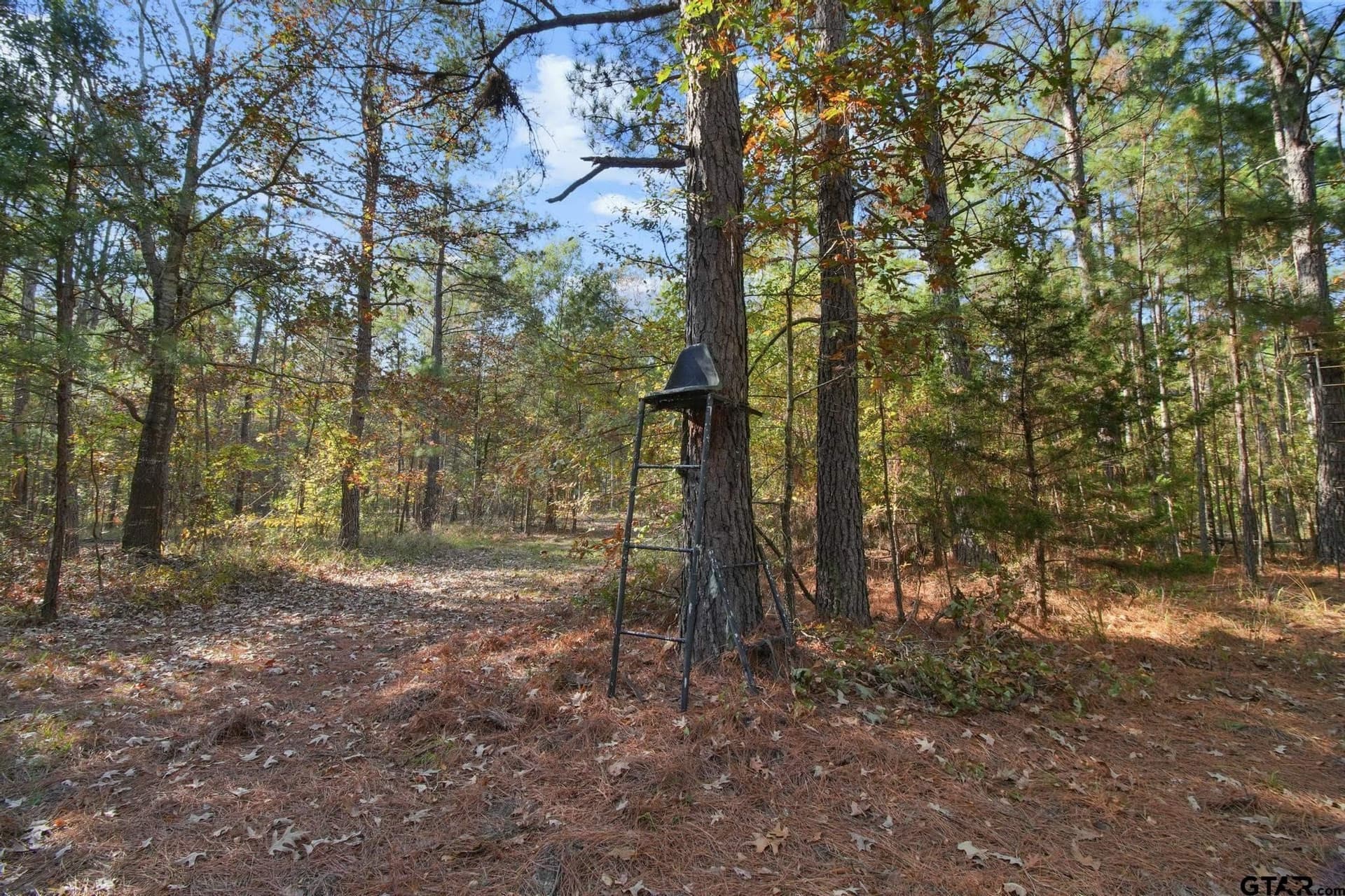 41.24 acres in Cherokee County - photo 26