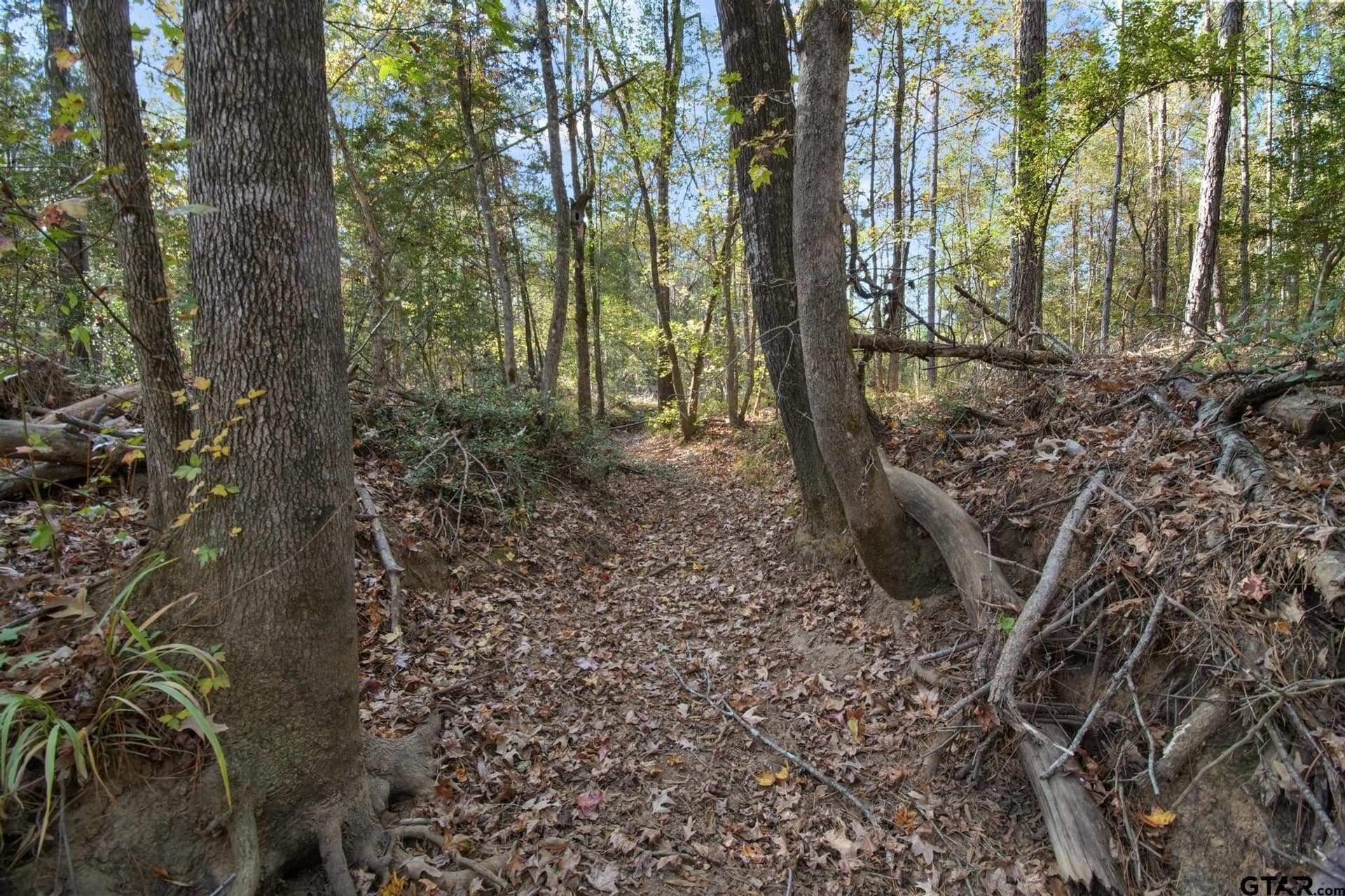 41.24 acres in Cherokee County - photo 28