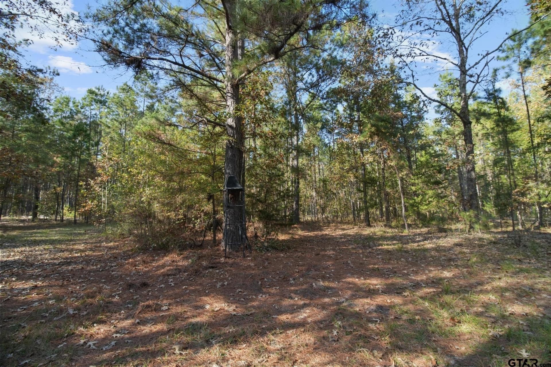 41.24 acres in Cherokee County - photo 27