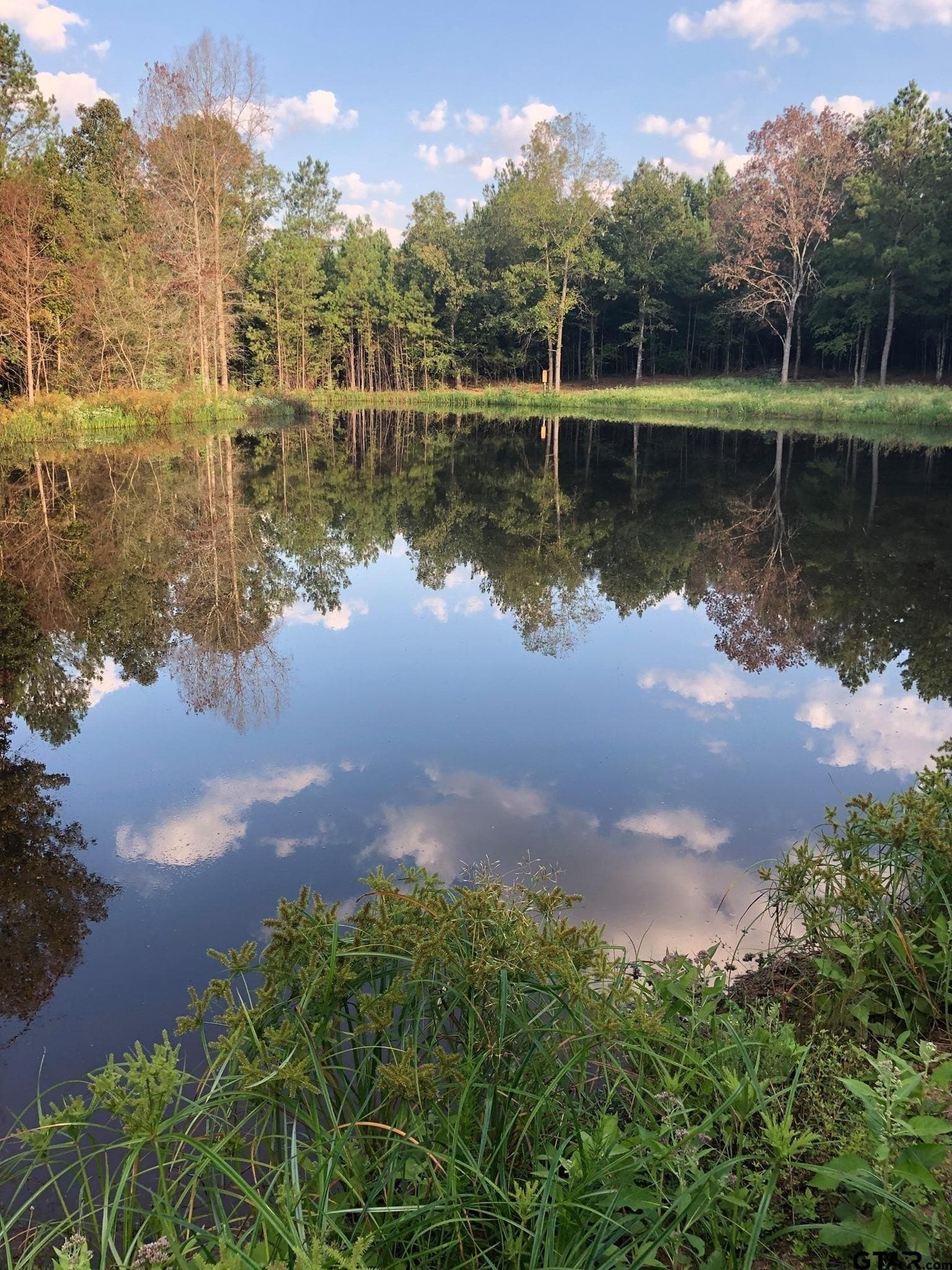41.24 acres in Cherokee County - photo 24