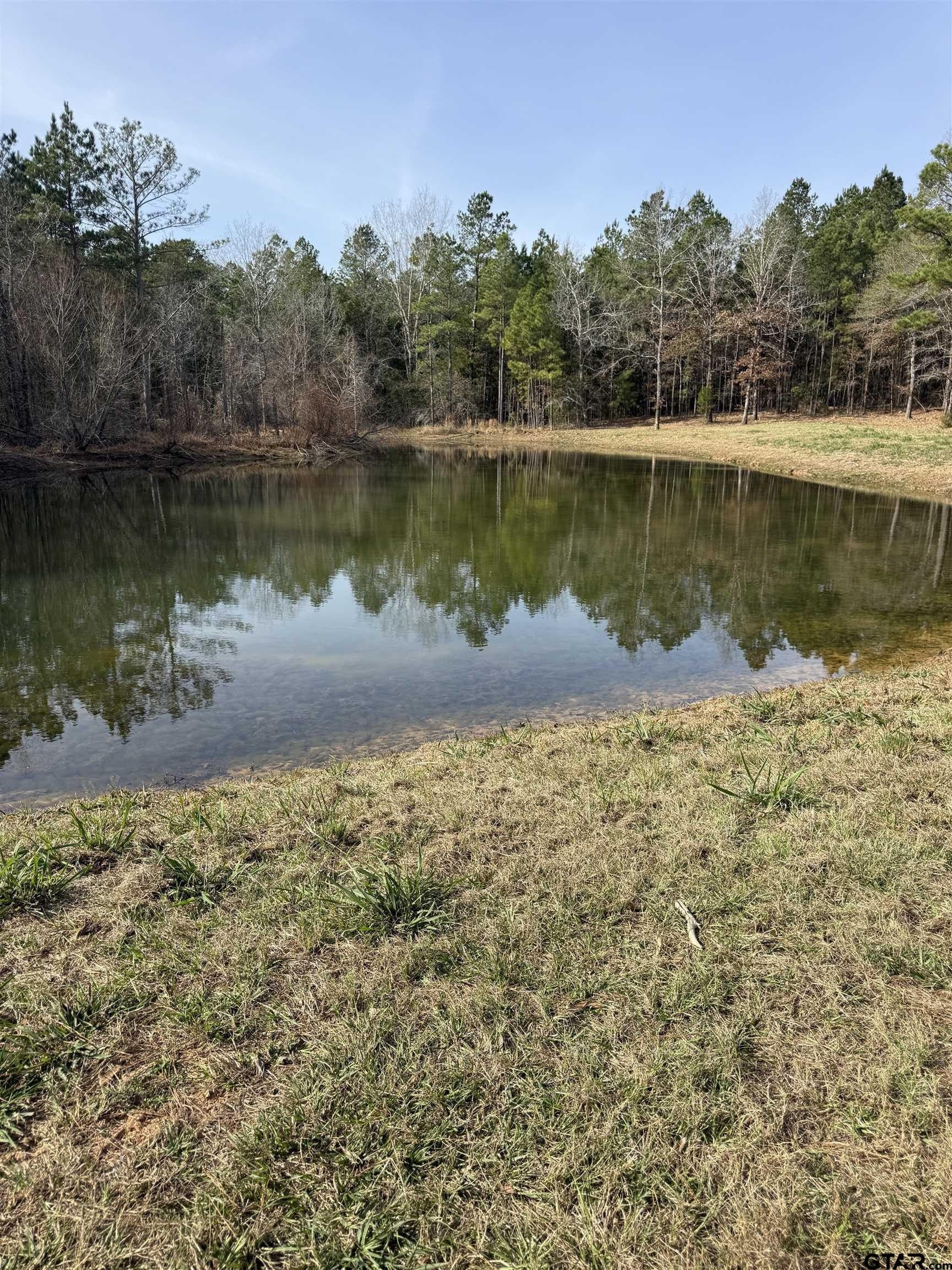 41.24 acres in Cherokee County - photo 23