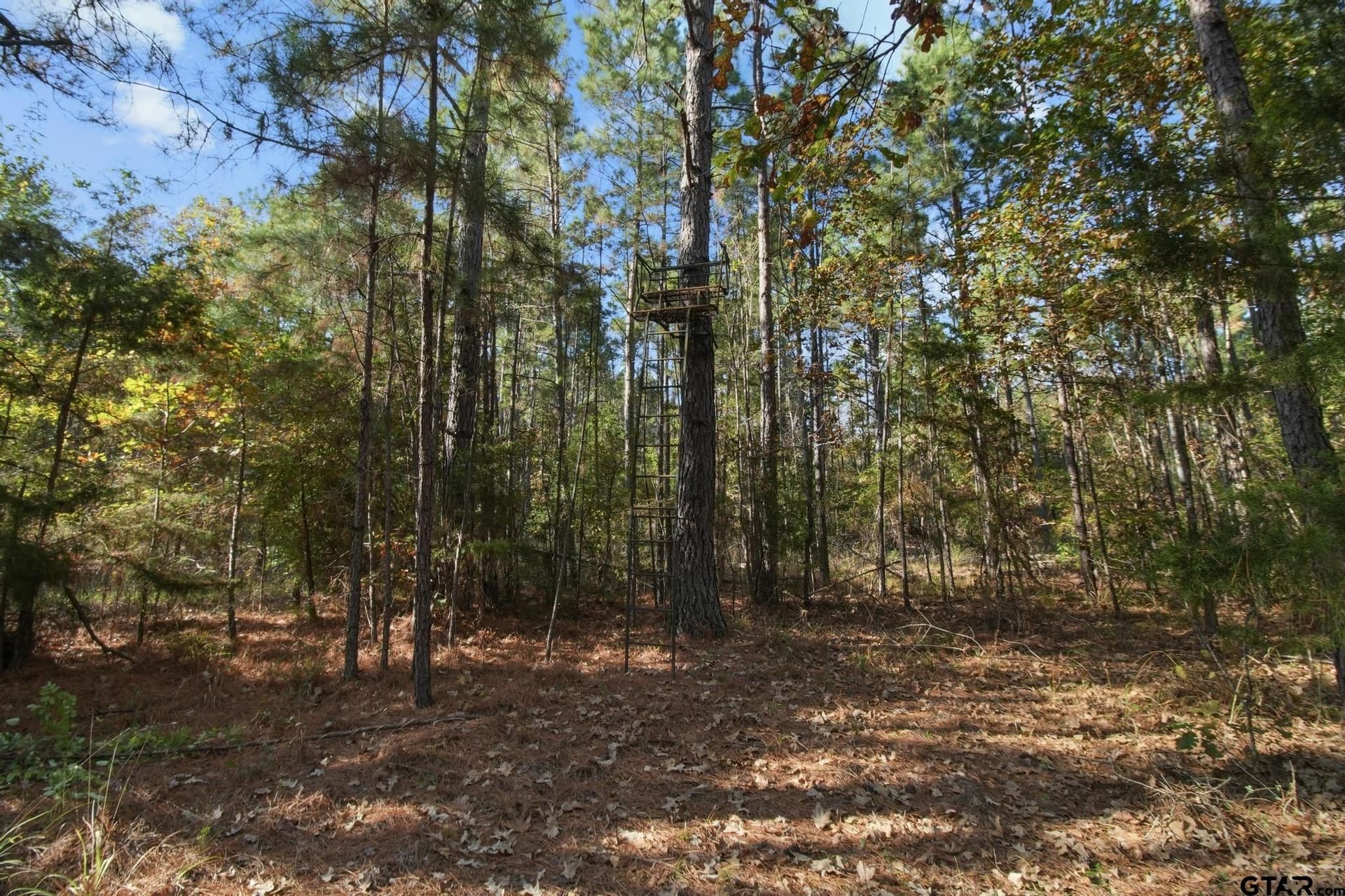 41.24 acres in Cherokee County - photo 5