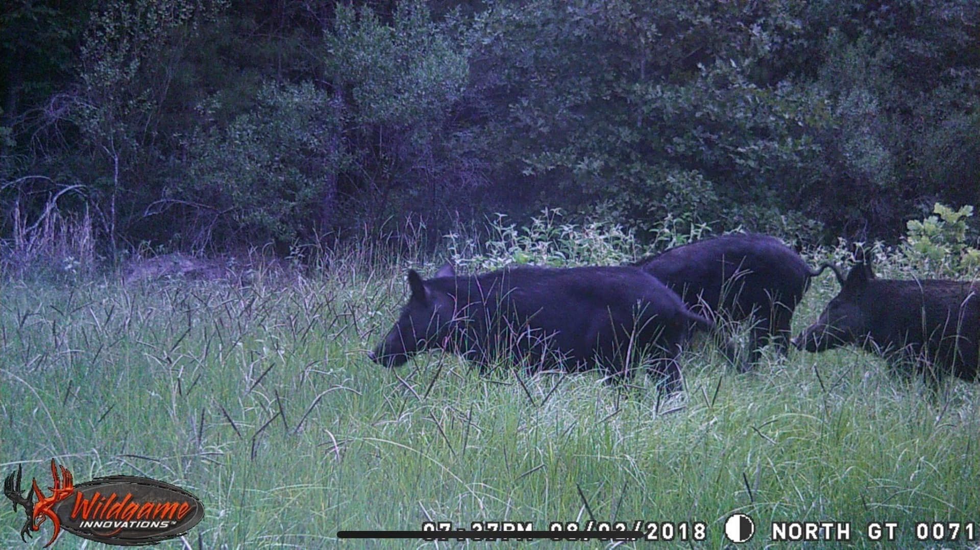 41.24 acres in Cherokee County - photo 35