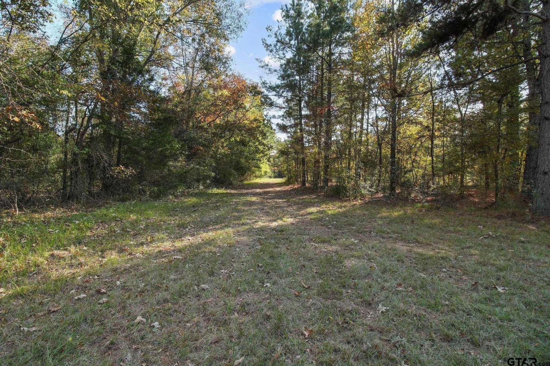 41.24 acres in Cherokee County - photo 4