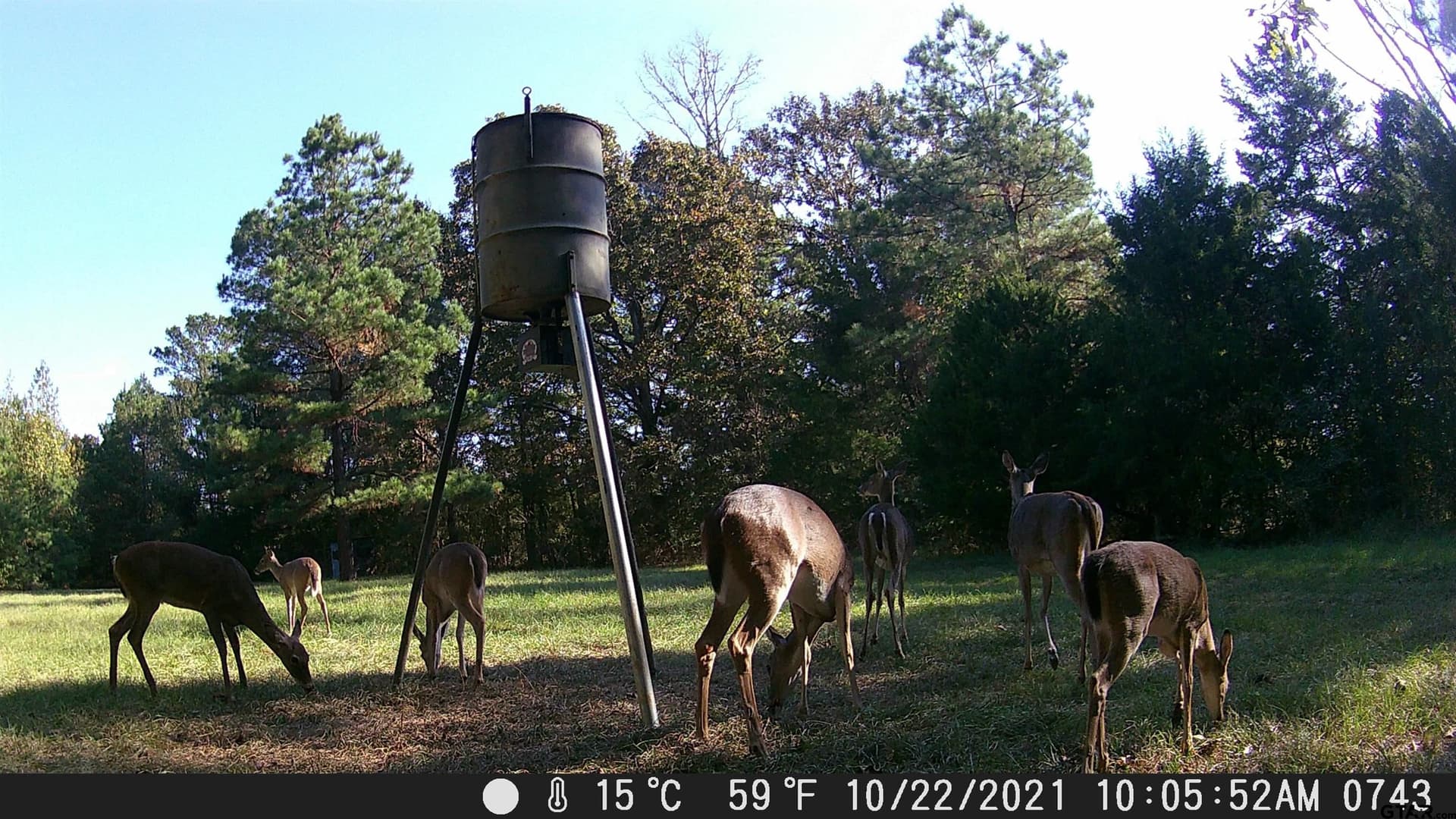 41.24 acres in Cherokee County - photo 34