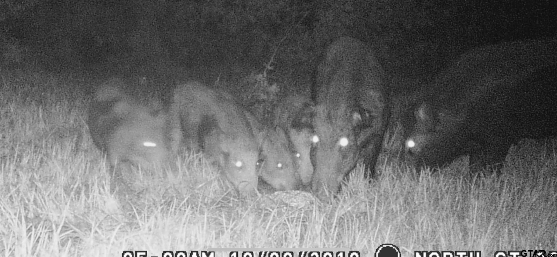 41.24 acres in Cherokee County - photo 36