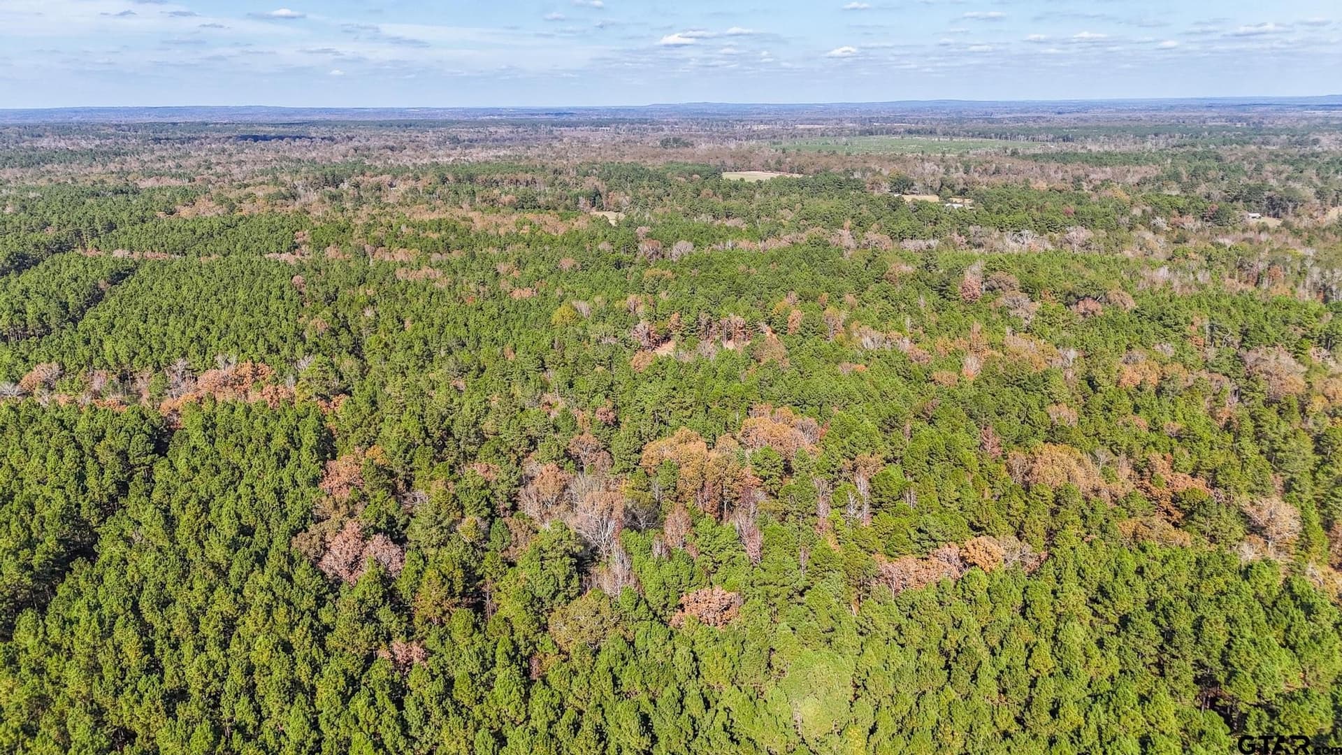 41.24 acres in Cherokee County - photo 29