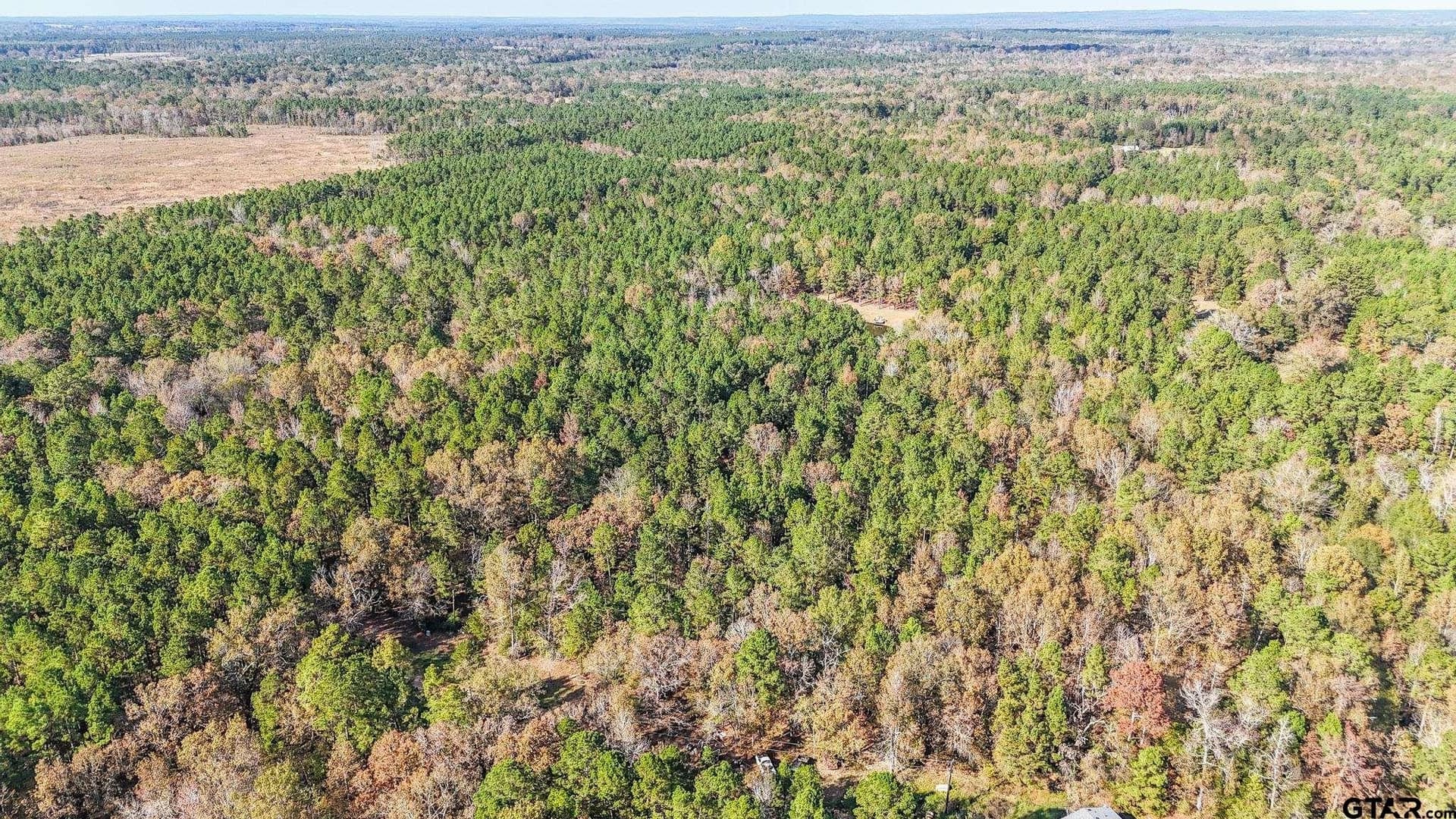 41.24 acres in Cherokee County - photo 30