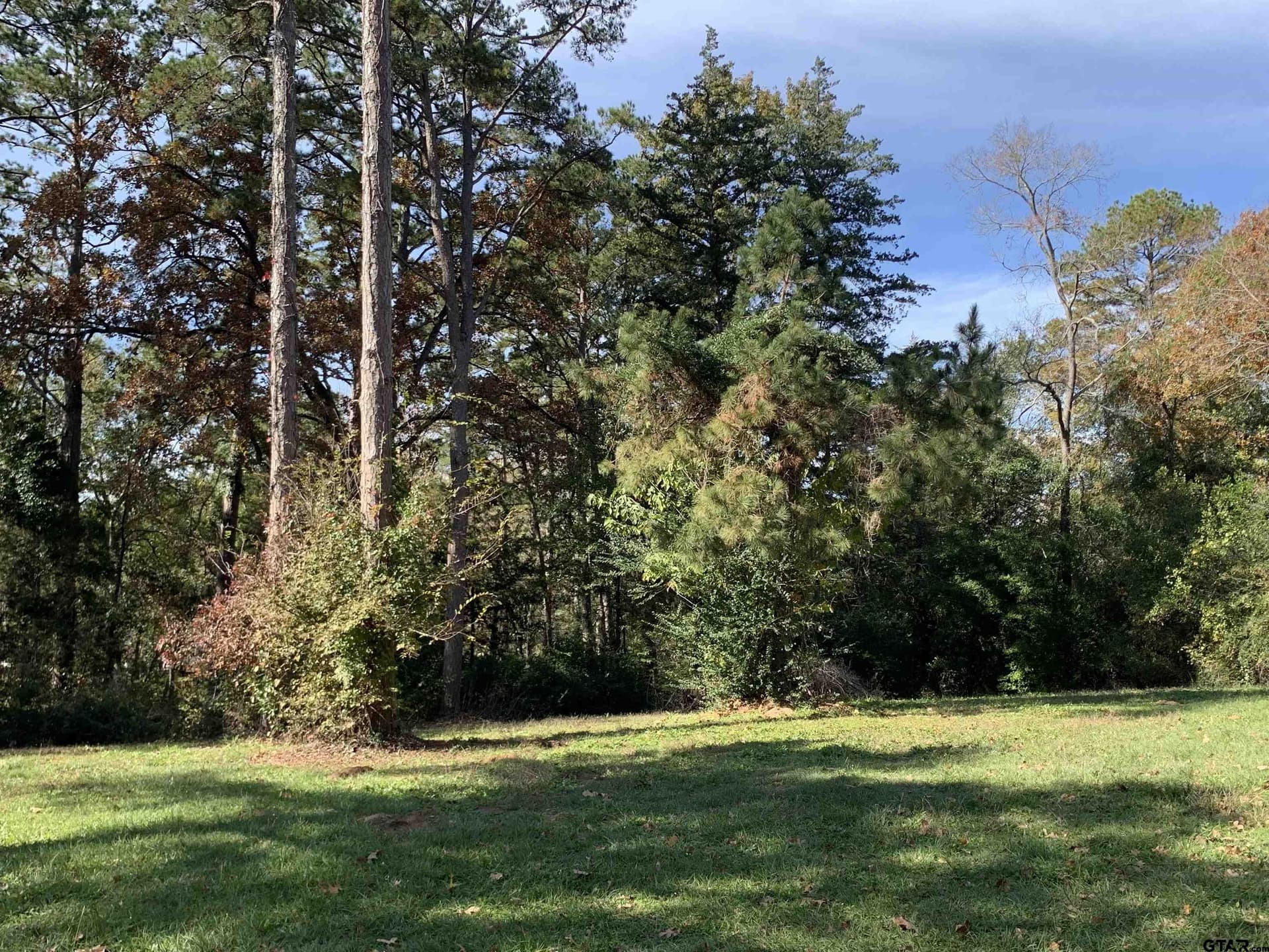 1.86 acres in Henderson County - photo 16