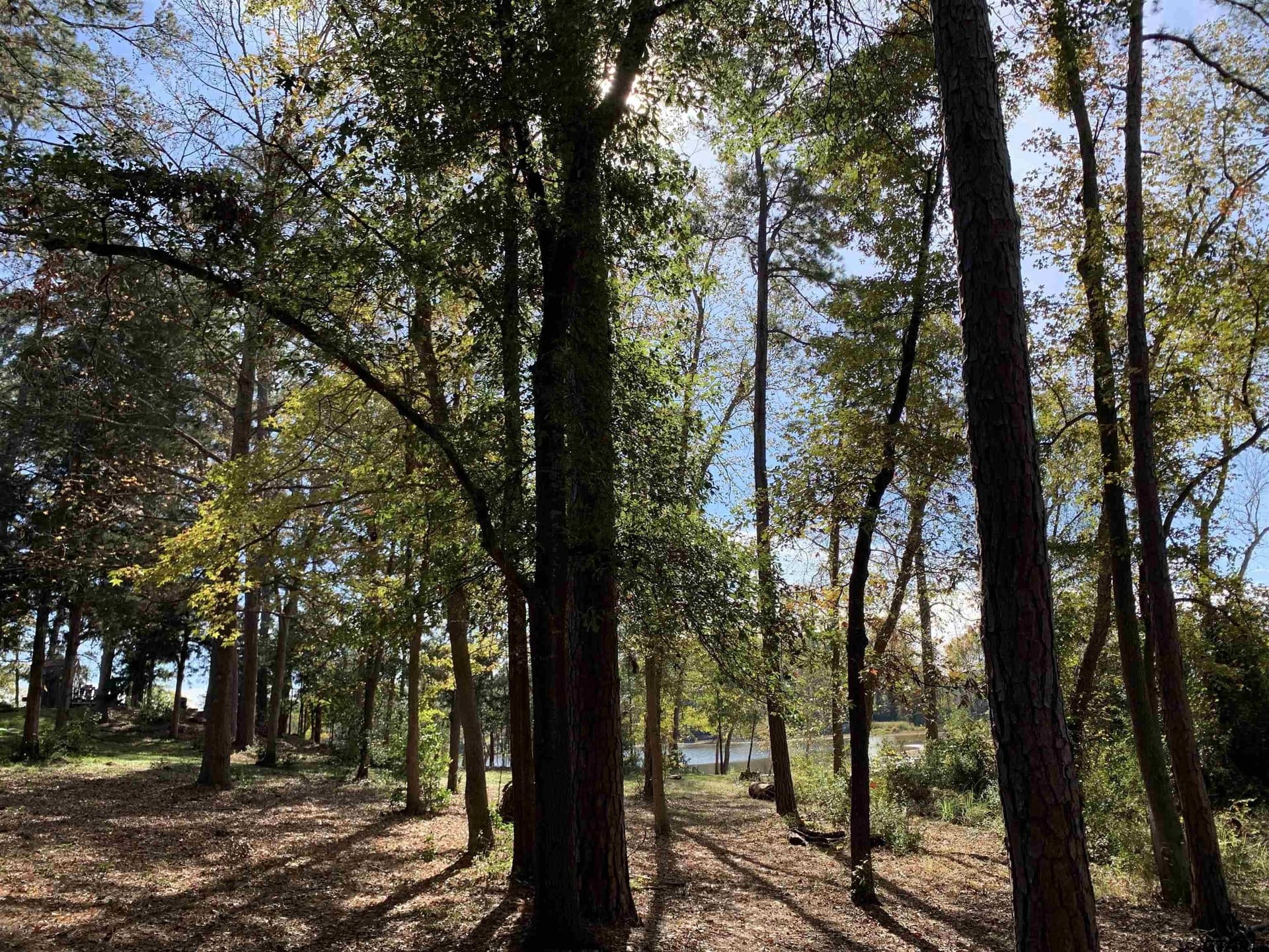 1.86 acres in Henderson County - photo 19