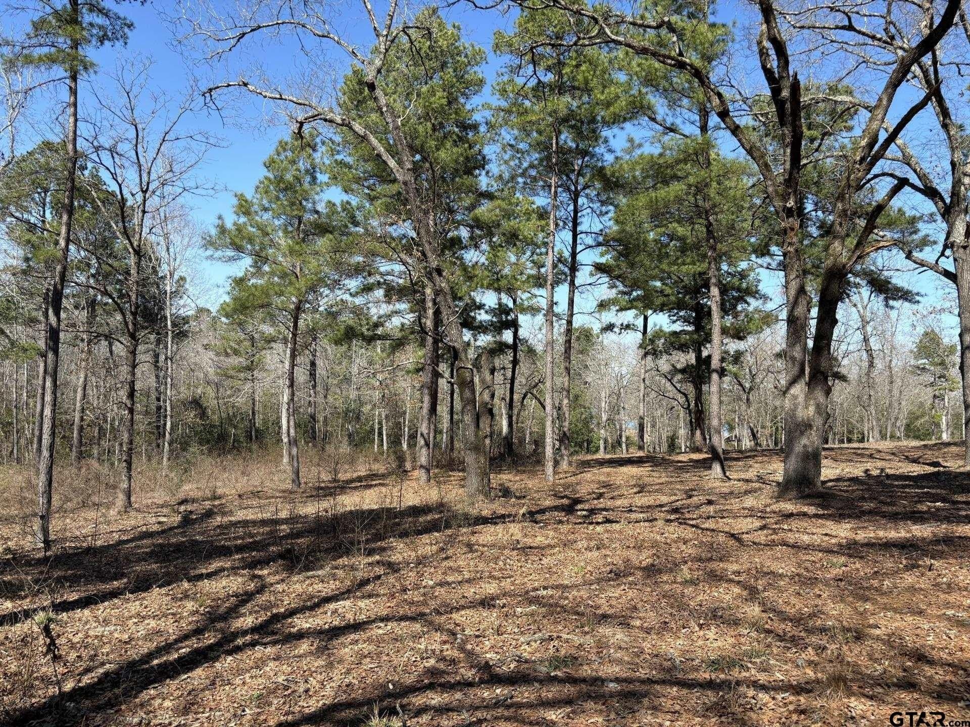 1.86 acres in Henderson County - photo 20