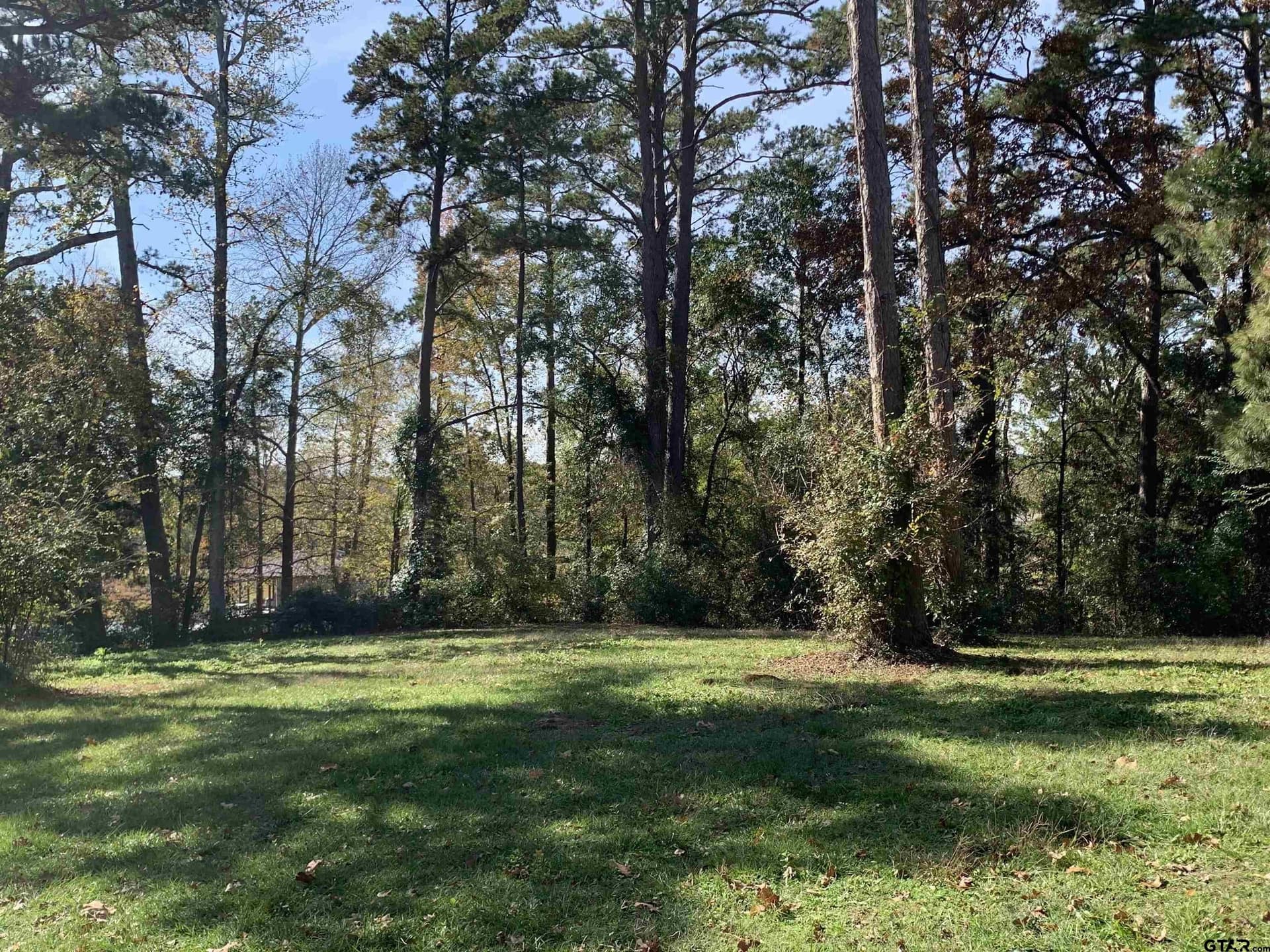 1.86 acres in Henderson County - photo 15