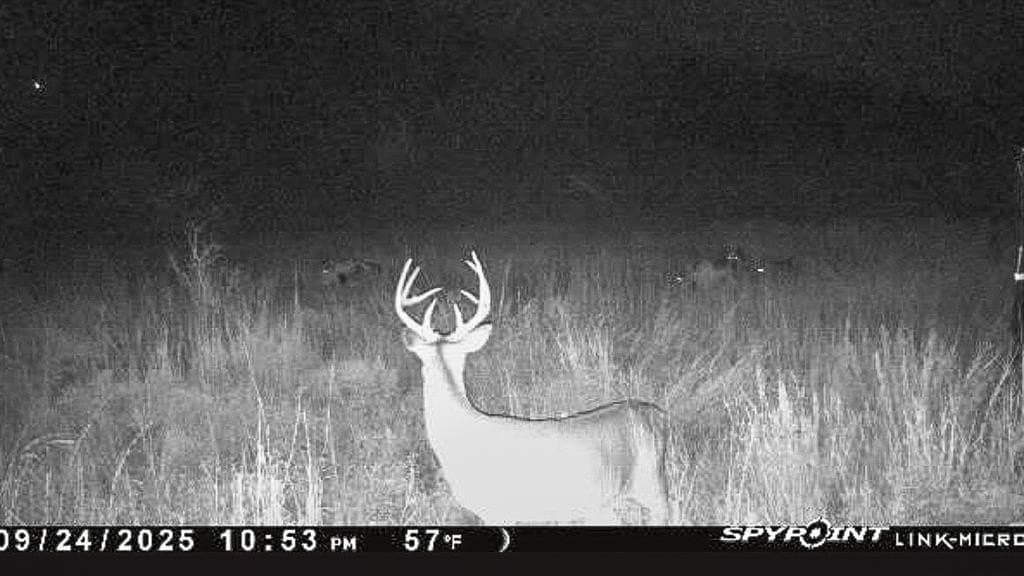 78 acres in Brown County - photo 23