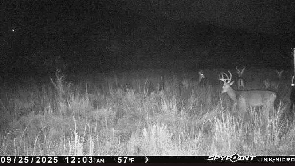 78 acres in Brown County - photo 20