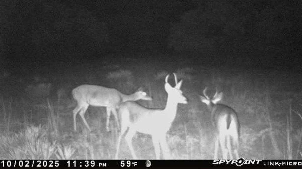 78 acres in Brown County - photo 24