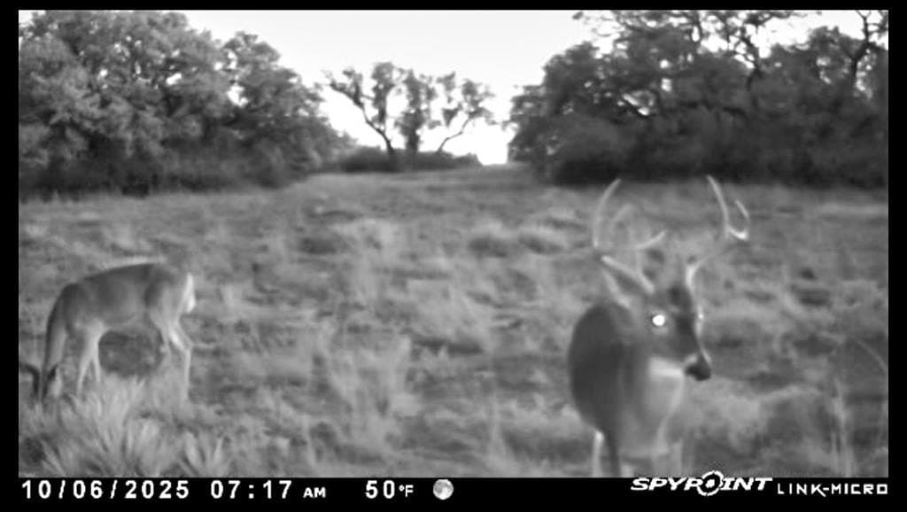 78 acres in Brown County - photo 18