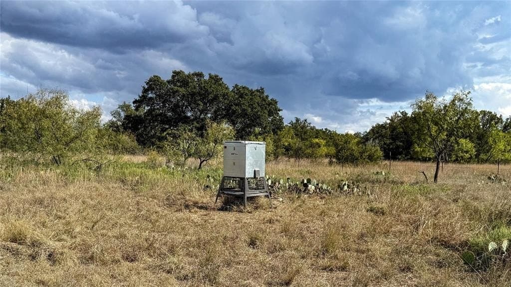 78 acres in Brown County - photo 17