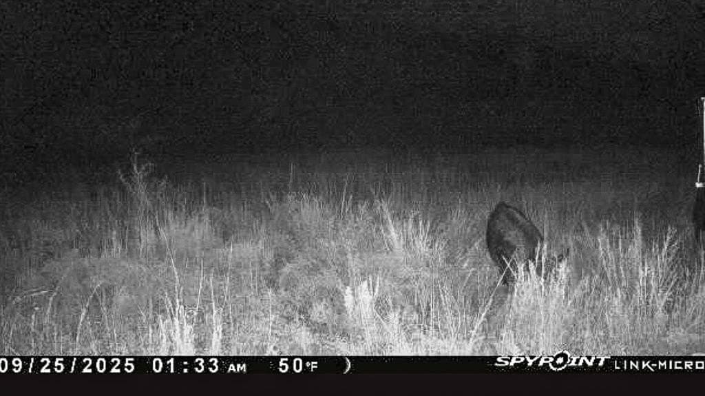 78 acres in Brown County - photo 21