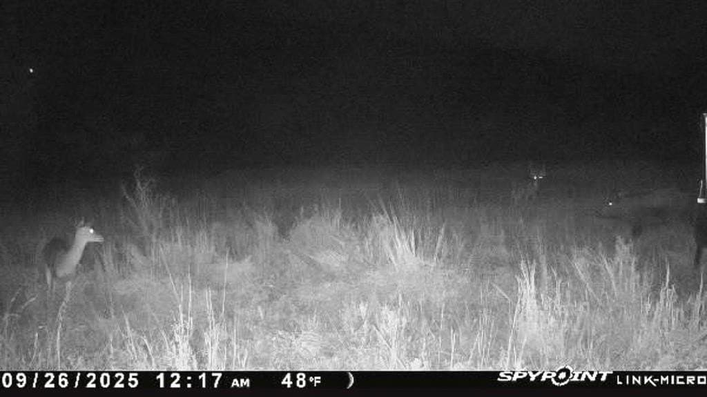 78 acres in Brown County - photo 19