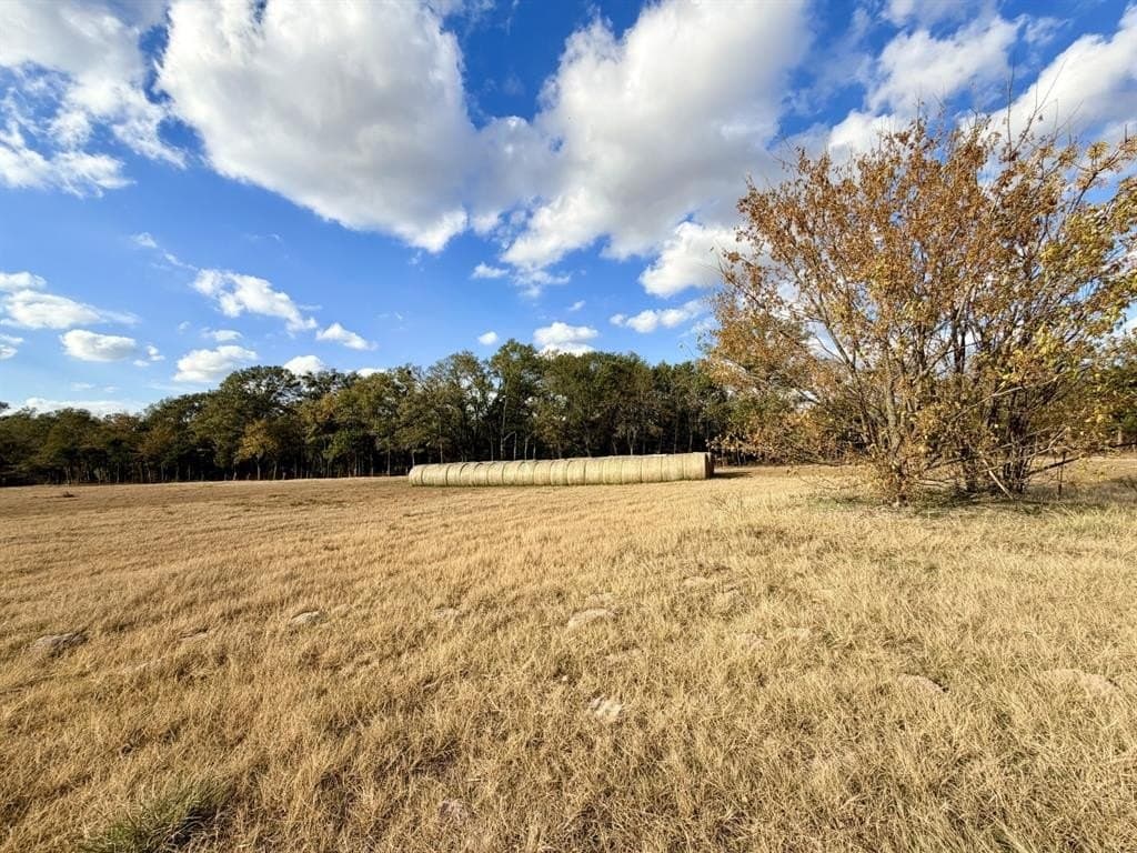 3.73 acres in Rains County - photo 12
