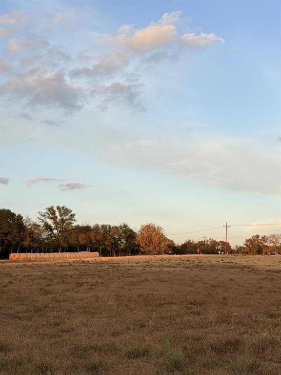 3.73 acres in Rains County - photo 17