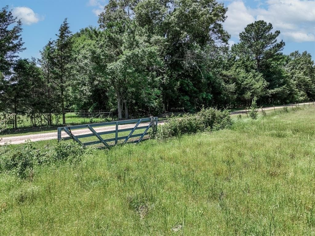 11 acres in Lamar County - photo 17