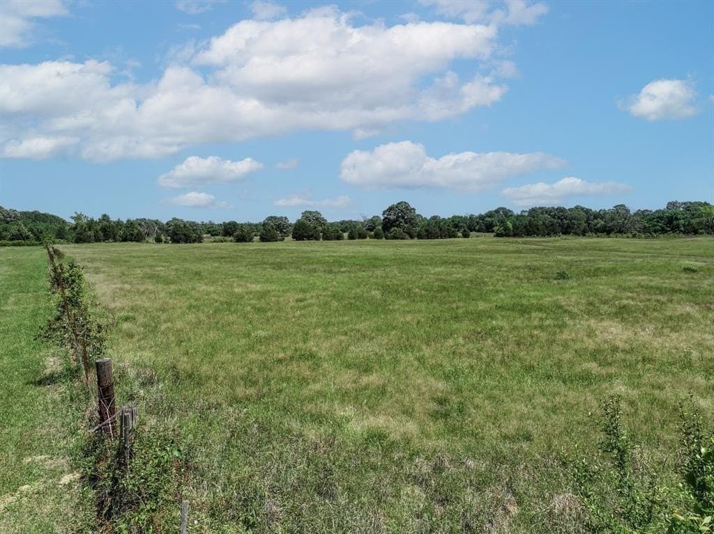 11 acres in Lamar County - photo 15