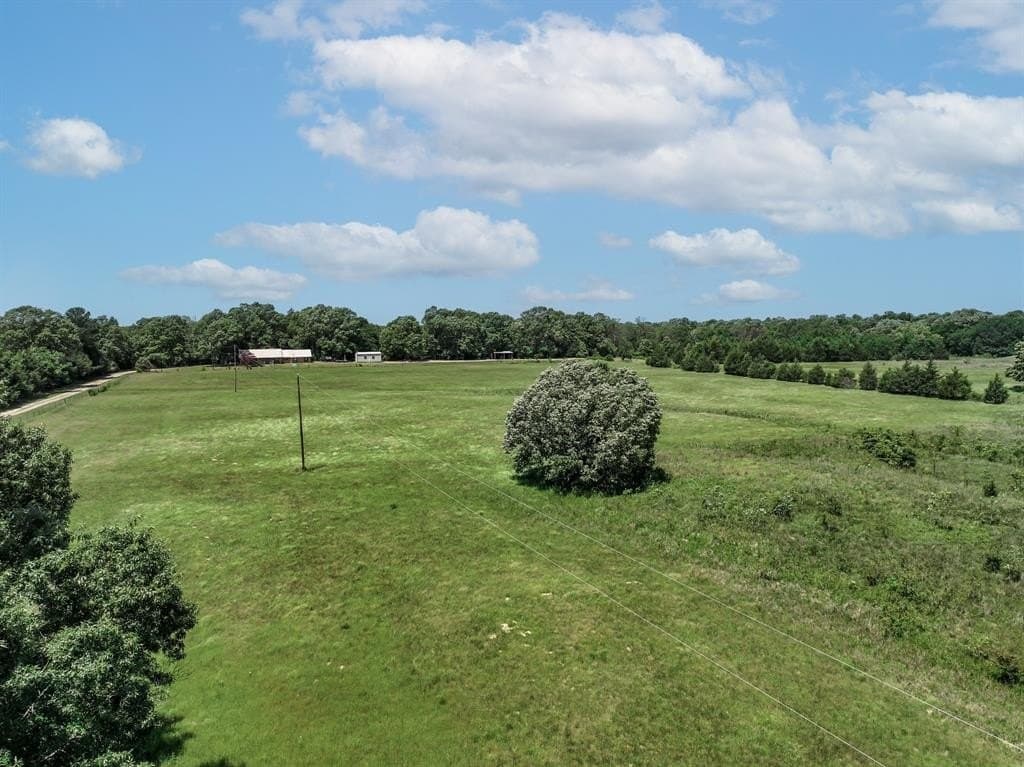 11 acres in Lamar County - photo 19