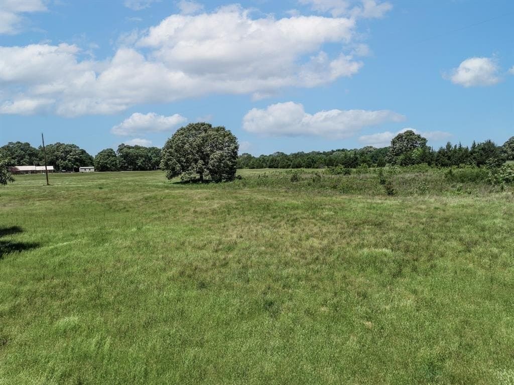 11 acres in Lamar County - photo 18