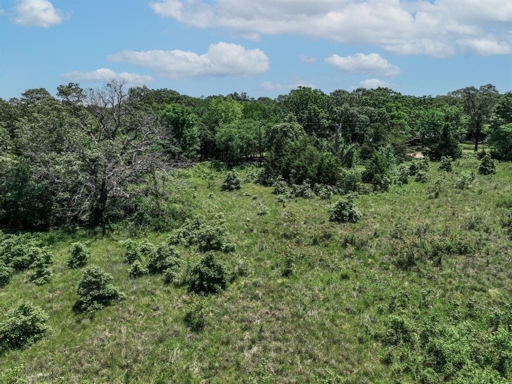 11 acres in Lamar County - photo 23