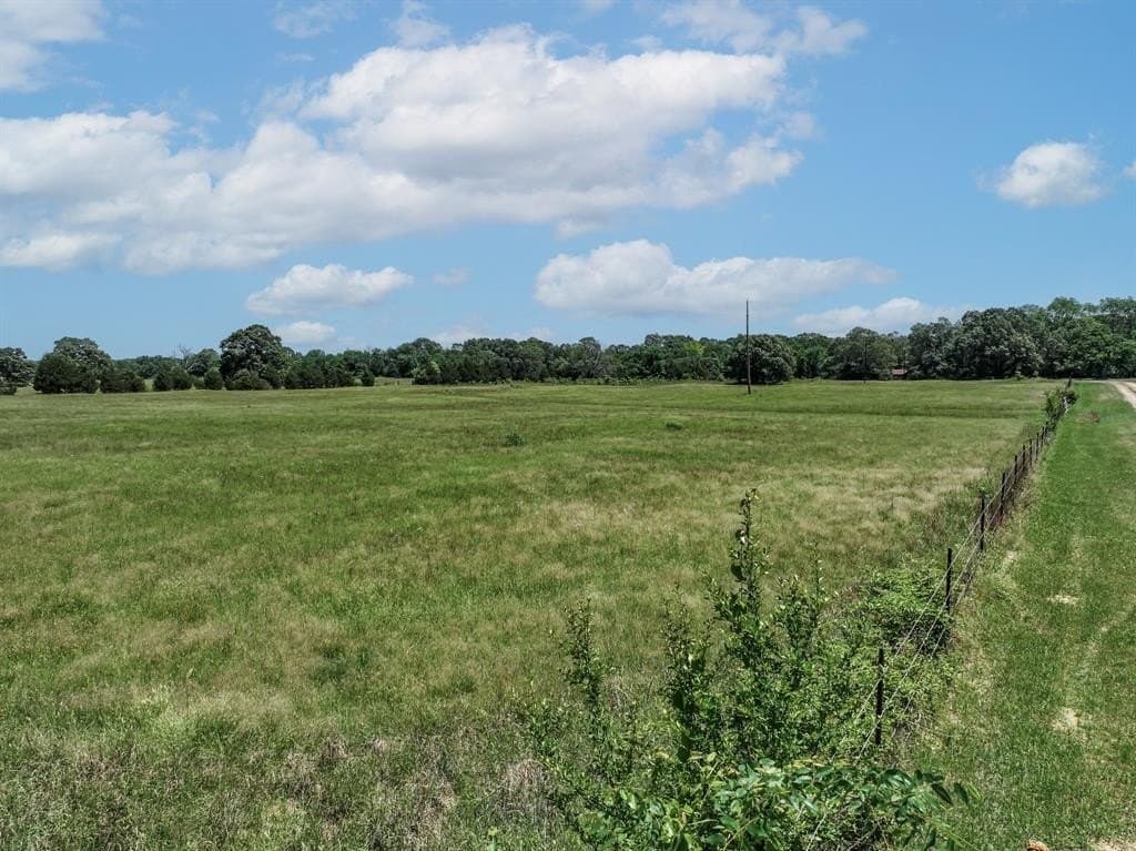 11 acres in Lamar County - photo 14