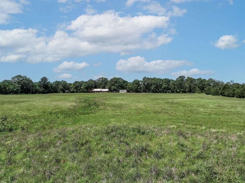 11 acres in Lamar County - photo 22