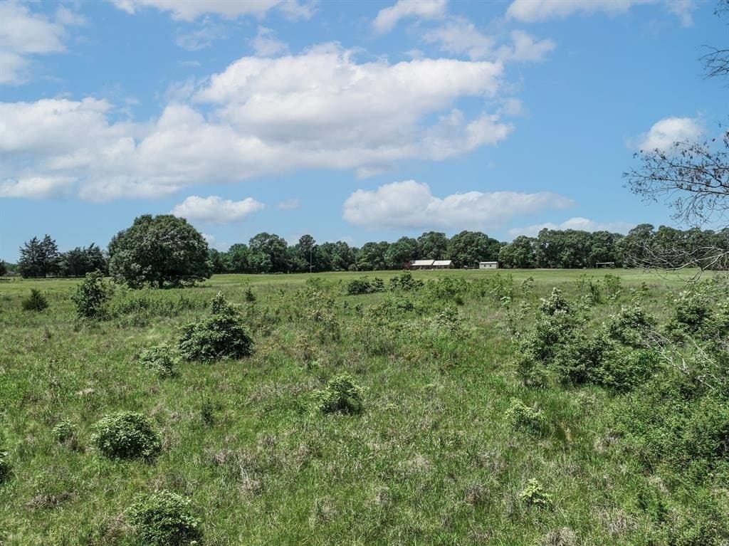 11 acres in Lamar County - photo 21