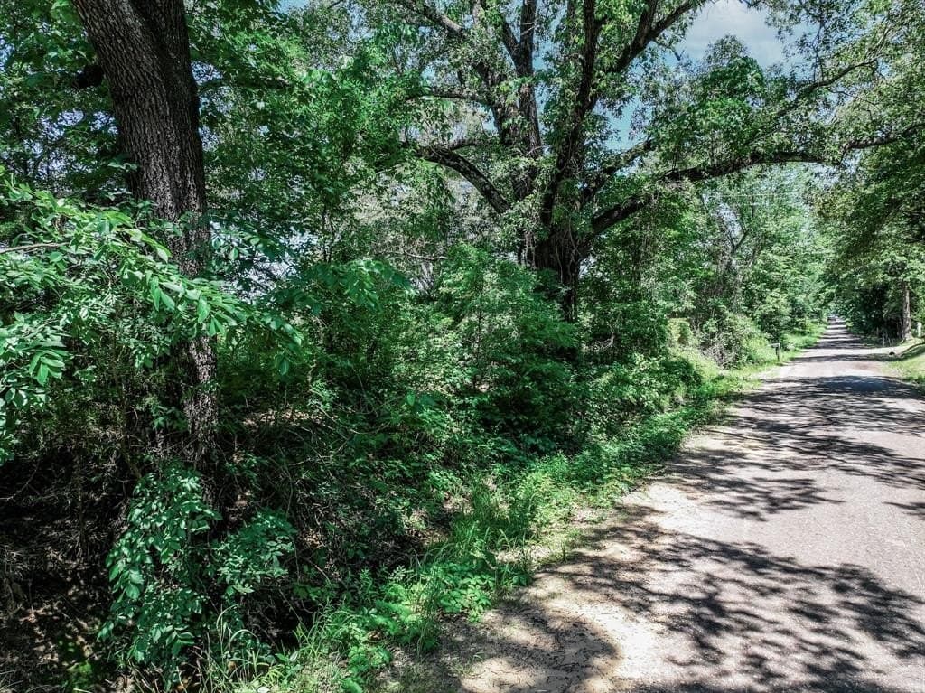 11 acres in Lamar County - photo 24