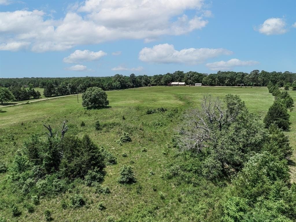 11 acres in Lamar County - photo 20