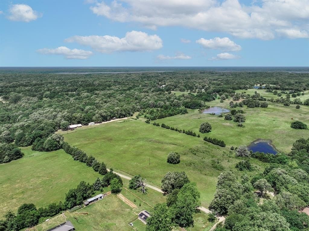 11 acres in Lamar County - photo 6