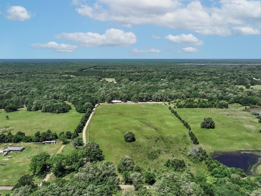 11 acres in Lamar County - photo 3