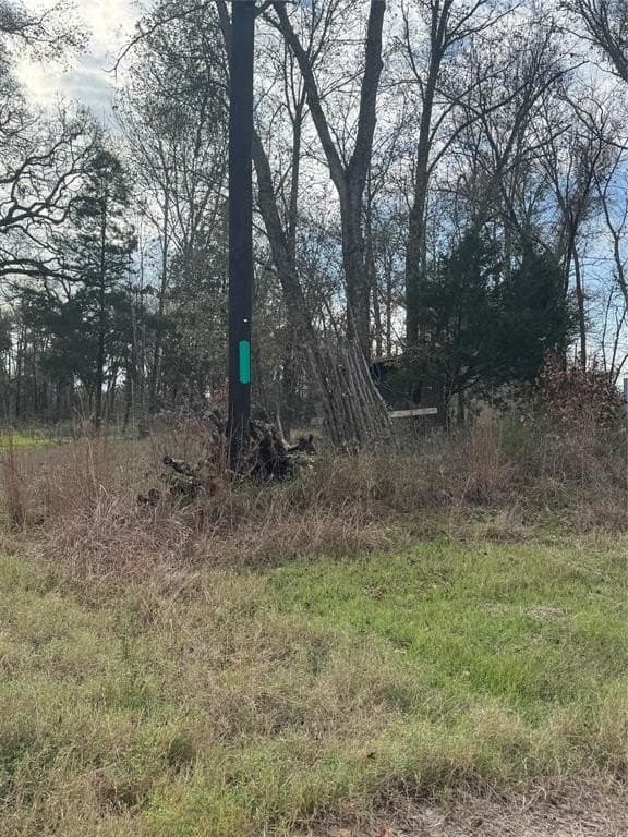8.29 acres in Freestone County - photo 2