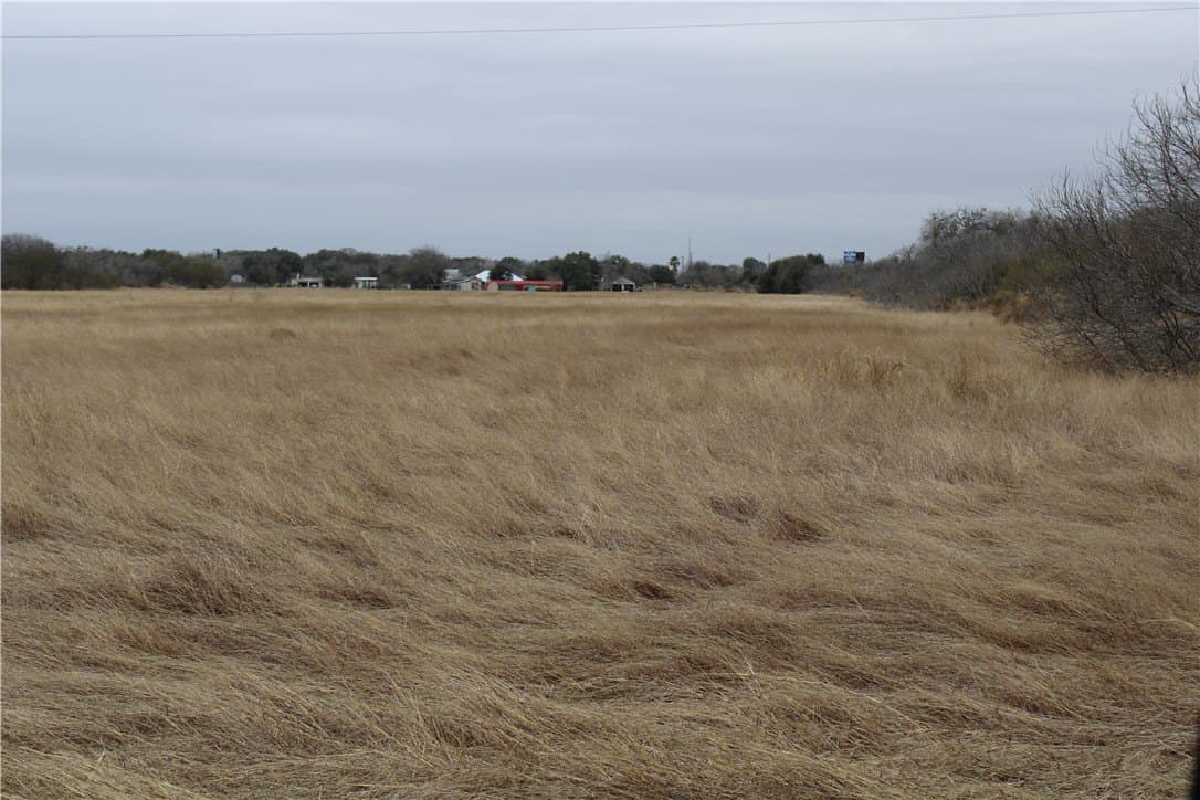 20 acres in San Patricio County - photo 4