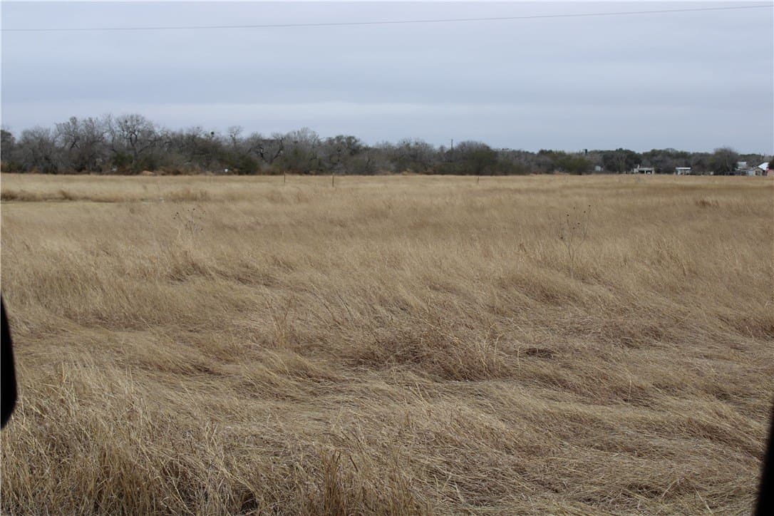 20 acres in San Patricio County - photo 5