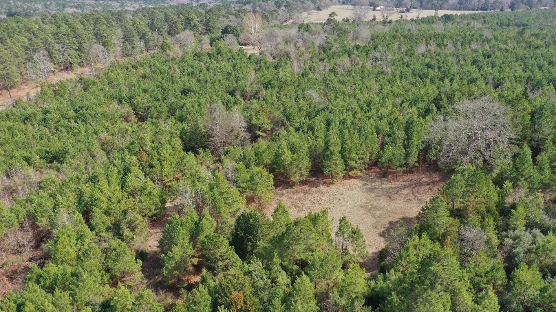 8 acres in Cass County - photo 6