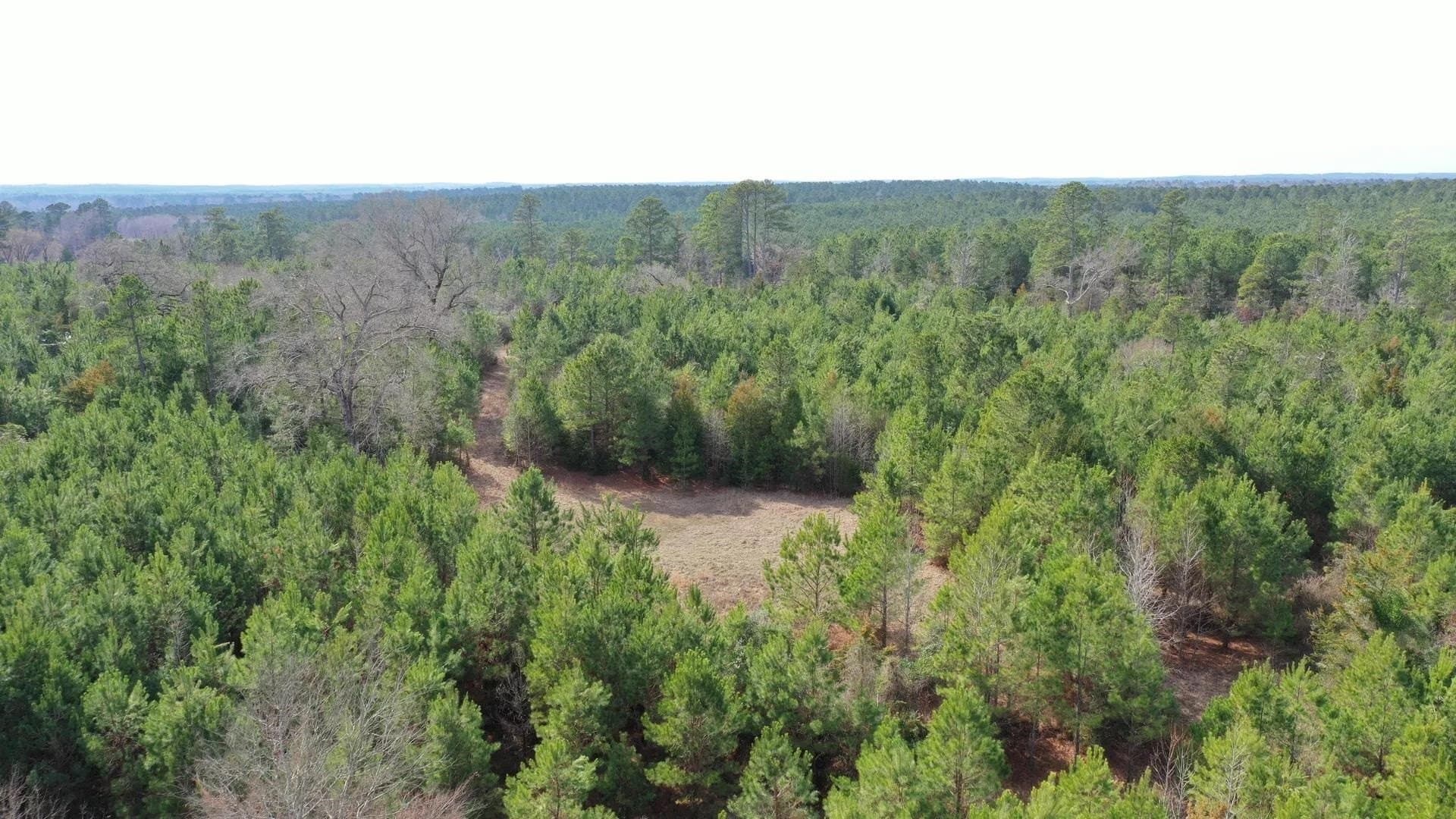 8 acres in Cass County - photo 2
